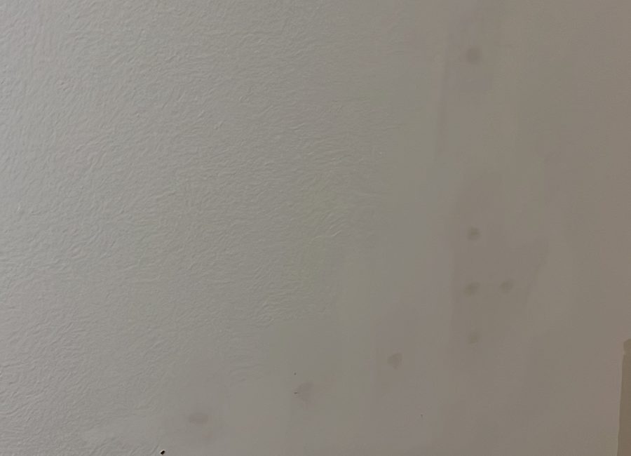 Interior painting work
